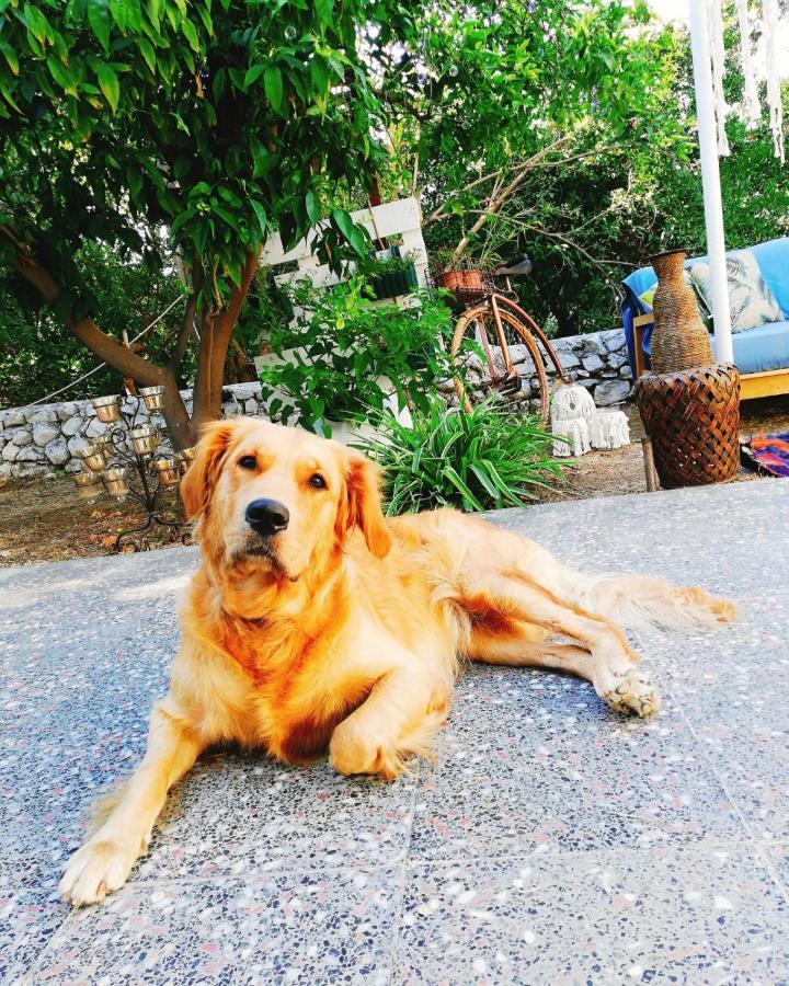 L'Onda Oda Bodrum ภายนอก รูปภาพ